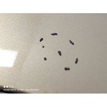 Recambio de paragolpes trasero para peugeot 308 active referencia OEM IAM 1610767080  