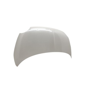 Recambio de capo para fiat nuova 500 (150) lounge referencia OEM IAM 51859537  