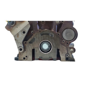 Recambio de bloque para volkswagen tiguan (5n2) advance bluemotion referencia OEM IAM CUV  