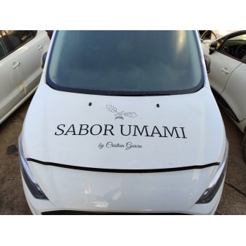 Recambio de capo para ford transit connect furgon 210 l2 ambiente referencia OEM IAM KT1BV16610AJ  