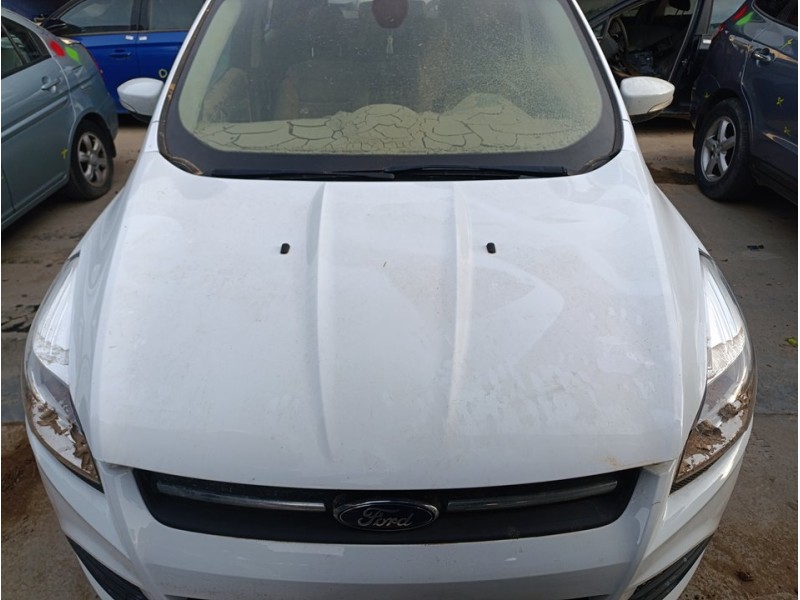 Recambio de capo para ford kuga (cbs) trend referencia OEM IAM CJ54S16612AJ  