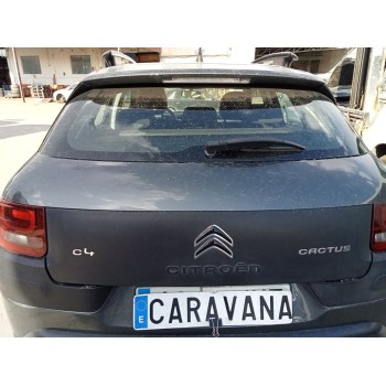 PORTON TRASERO 9800805380 