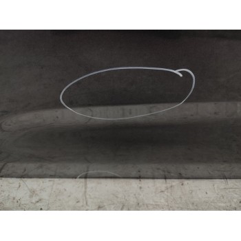 Recambio de puerta delantera izquierda para citroën c3 attraction referencia OEM IAM 9002AZ  