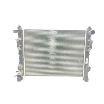 RADIADOR AGUA 214107326R 