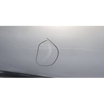 Recambio de puerta delantera derecha para nissan navara pick-up (d40m) 2.5 dci cat referencia OEM IAM   