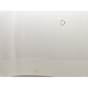 Recambio de capo para kia sportage business 2wd referencia OEM IAM 66400F1000  