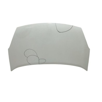 Recambio de capo para citroën berlingo cuadro sx referencia OEM IAM 7901P7  