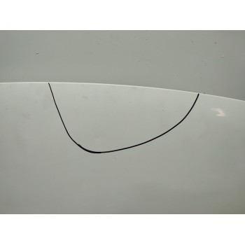 Recambio de capo para citroën berlingo cuadro sx referencia OEM IAM 7901P7  