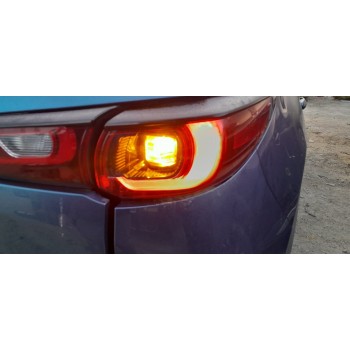 PILOTO TRASERO IZQUIERDO 