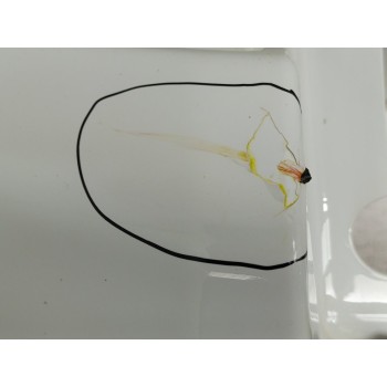 Recambio de paragolpes trasero para land rover freelander (lr2) td4 e referencia OEM IAM BH5217A958DA  