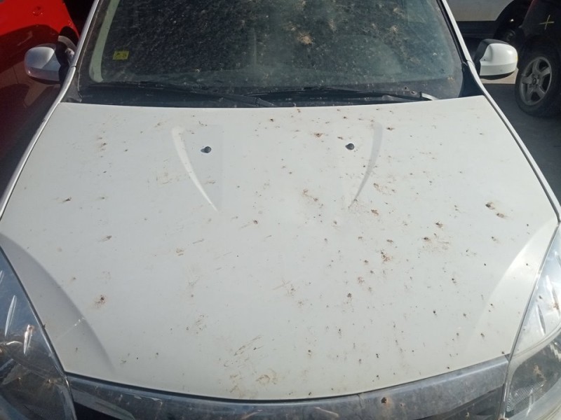 Recambio de capo para dacia sandero ambiance referencia OEM IAM 6001551793  