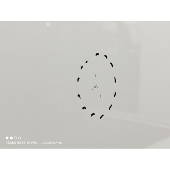 Recambio de puerta trasera izquierda para citroën c3 tonic referencia OEM IAM 9002CC  