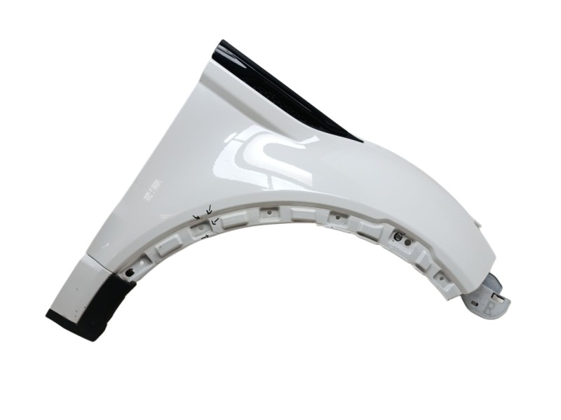 Recambio de aleta delantera derecha para land rover range rover evoque (l538) 2.2 d referencia OEM IAM LR066922 BJ3216005AH 