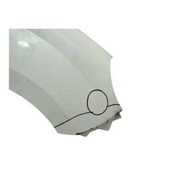 Recambio de aleta delantera derecha para renault kangoo (f/kc0) luxe privilege referencia OEM IAM 631009162R  