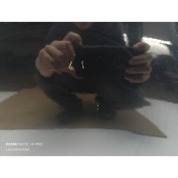 Recambio de puerta trasera izquierda para bmw x6 (e71) xdrive40d referencia OEM IAM 41527198161  