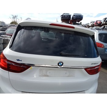 PORTON TRASERO 41007349447 