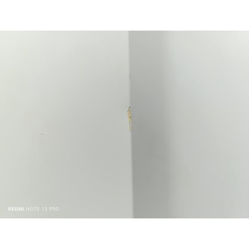 Recambio de puerta delantera izquierda para iveco daily furgón fg 33 s ... v batalla 3520 referencia OEM IAM 5801489558  