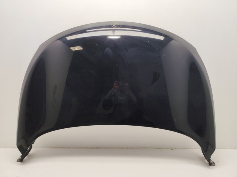 Recambio de capo para nissan murano (z51) básico referencia OEM IAM F510M1AAMA  