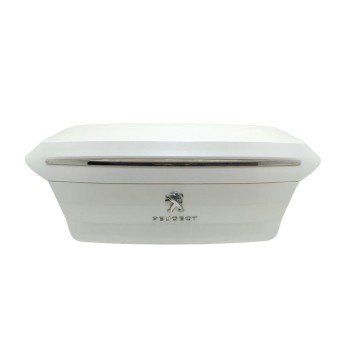 PORTON TRASERO 9808850580 