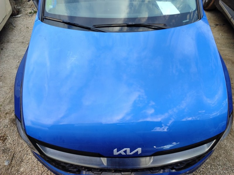 Recambio de capo para kia sportage (nq5) drive referencia OEM IAM 66400R2000  