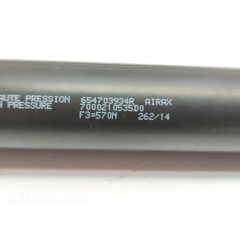 Recambio de amortiguadores capo para renault clio iv authentique referencia OEM IAM 654703934R  