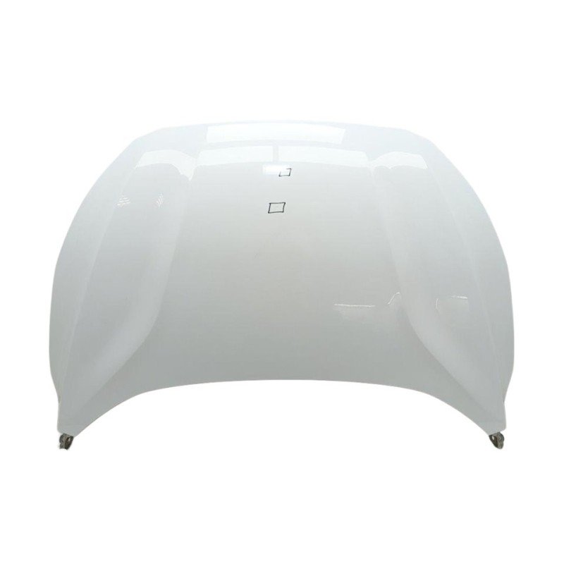 Recambio de capo para ford focus titanium referencia OEM IAM 2513128  