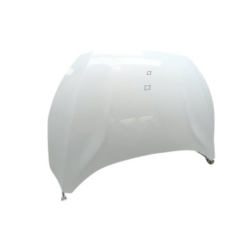 Recambio de capo para ford focus titanium referencia OEM IAM 2513128  