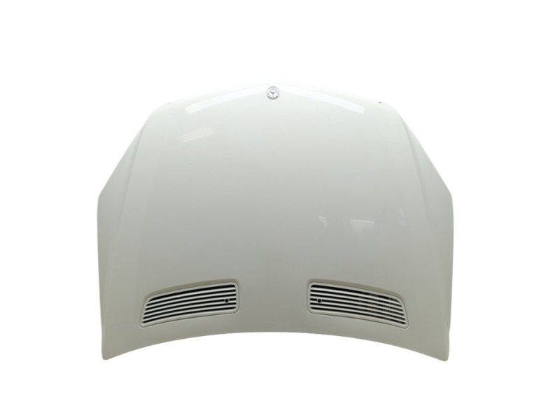 Recambio de capo para mercedes-benz clase r (w251) r 300 cdi 4-matic (251.020) referencia OEM IAM A2518800257  