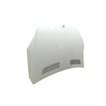 Recambio de capo para mercedes-benz clase r (w251) r 300 cdi 4-matic (251.020) referencia OEM IAM A2518800257  