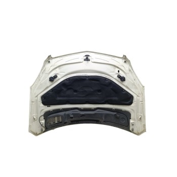 Recambio de capo para mercedes-benz clase r (w251) r 300 cdi 4-matic (251.020) referencia OEM IAM A2518800257  