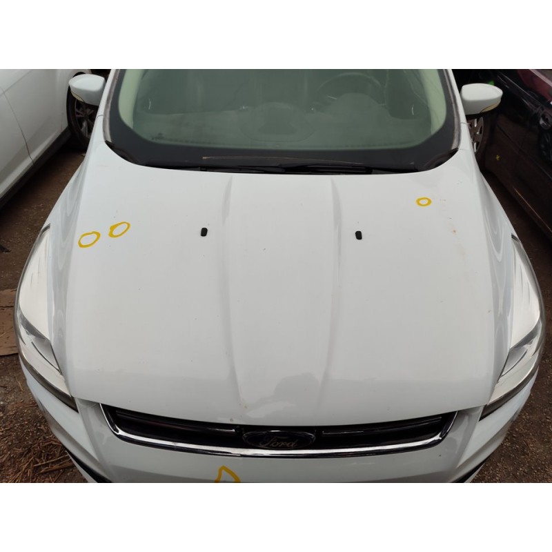 Recambio de capo para ford kuga (cbs) trend referencia OEM IAM 5262148  