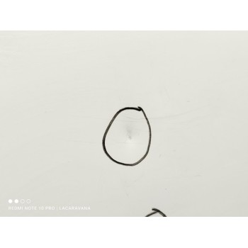 Recambio de capo para mg zs luxury referencia OEM IAM 10230176  