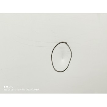 Recambio de capo para mg zs luxury referencia OEM IAM 10230176  