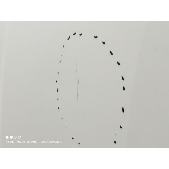 Recambio de capo para ford ka+ black / white referencia OEM IAM 2089494  