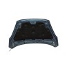 Recambio de capo para ford fiesta (ce1) st-line referencia OEM IAM PH1BBA16610AH  