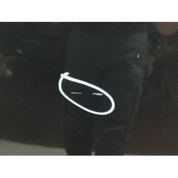 Recambio de capo para mercedes-benz clase cls (w219) 320 cdi (219.322) referencia OEM IAM A2198800157  