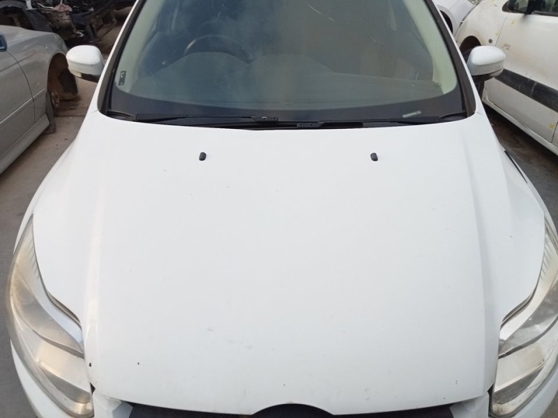 Recambio de capo para ford focus turn. (cb8) trend referencia OEM IAM PBM51A16610AC  