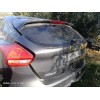 Recambio de porton trasero para ford focus lim. sport referencia OEM IAM 2002017  