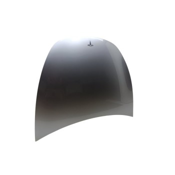 Recambio de capo para tesla model y basis rwd referencia OEM IAM 1493370ECA  