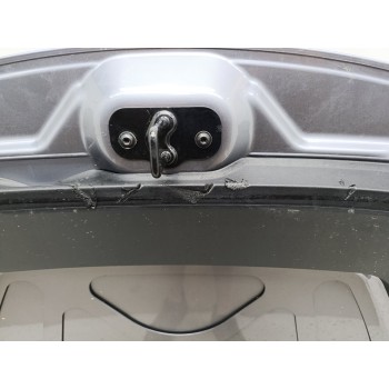 Recambio de capo para tesla model y basis rwd referencia OEM IAM 1493370ECA  