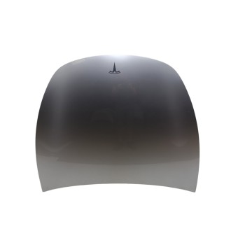 Recambio de capo para tesla model y basis rwd referencia OEM IAM 1493370ECA  