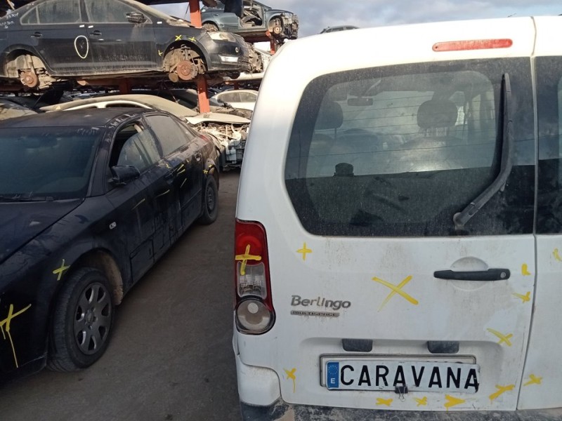 Recambio de puerta trasera izquierda para citroën berlingo station wagon live referencia OEM IAM 8702E2  