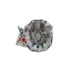 Recambio de caja cambios para renault megane iii berlina 5 p authentique referencia OEM IAM JR5337  