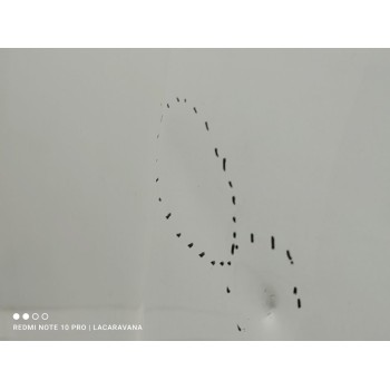 Recambio de capo para skoda karoq (nu) ambition referencia OEM IAM 57A823031B  