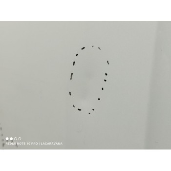 Recambio de capo para skoda karoq (nu) ambition referencia OEM IAM 57A823031B  