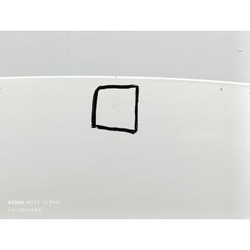 Recambio de capo para citroën berlingo station wagon tonic referencia OEM IAM 7901P7  