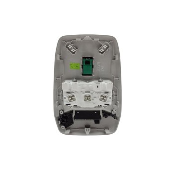 Recambio de luz interior para citroën c4 berlina plus referencia OEM IAM 96887290UW  