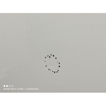 Recambio de capo para toyota rav 4 active referencia OEM IAM 5330142110  