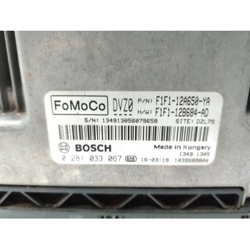Recambio de centralita motor uce para ford focus lim. business referencia OEM IAM 0281033067  