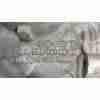 Recambio de diferencial trasero para mercedes-benz clase c (w204) lim. c 220 cdi blueefficiency (204.002) referencia OEM IAM 204